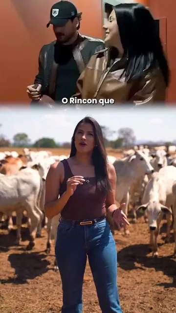 Reel da Jéssica Bronze entre o gado